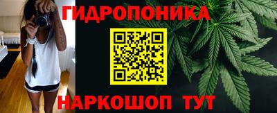 стаф Краснознаменск
