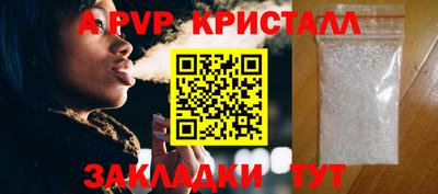 стаф Кунгур