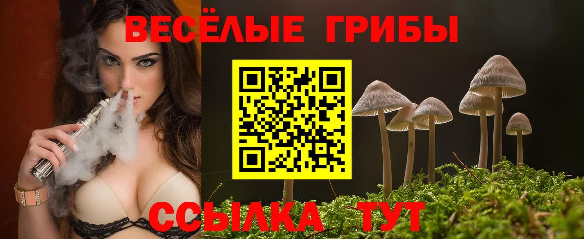 Псилоцибиновые грибы мухоморы Ейск